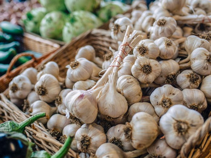 How to store garlic to make it last