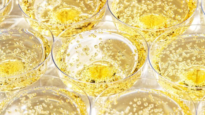 Sparkling wine without wine